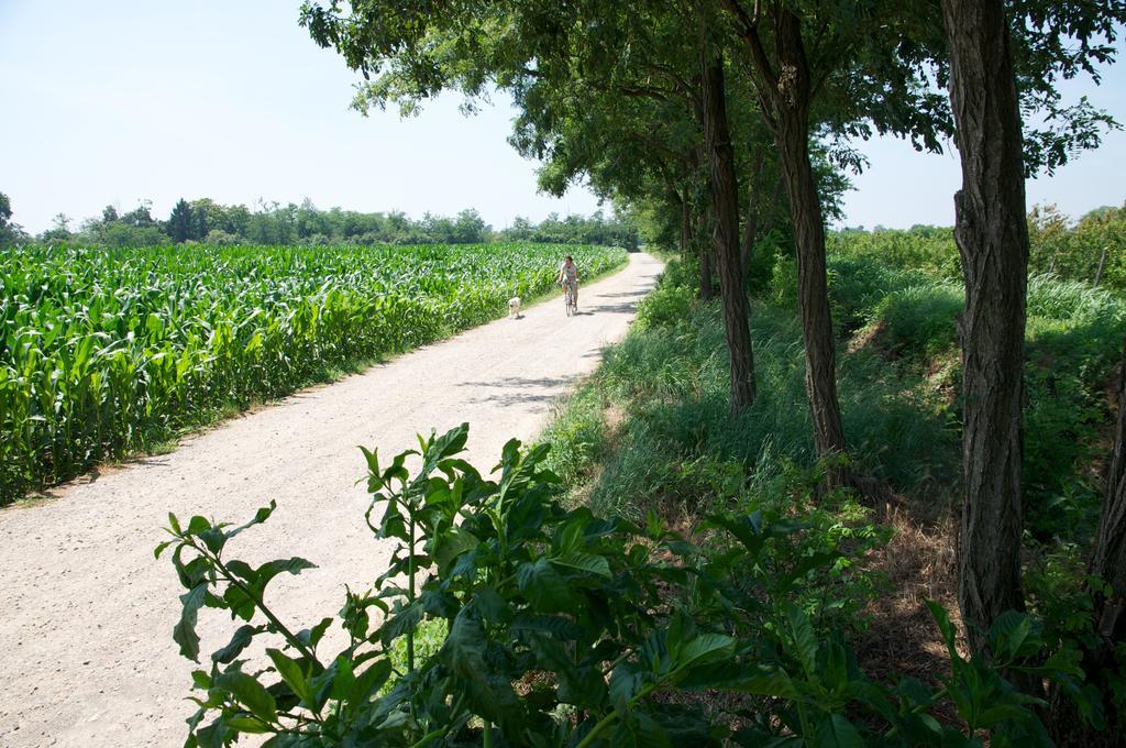 Cascina Delle Mele Bed & Breakfast Vittuone Bagian luar foto